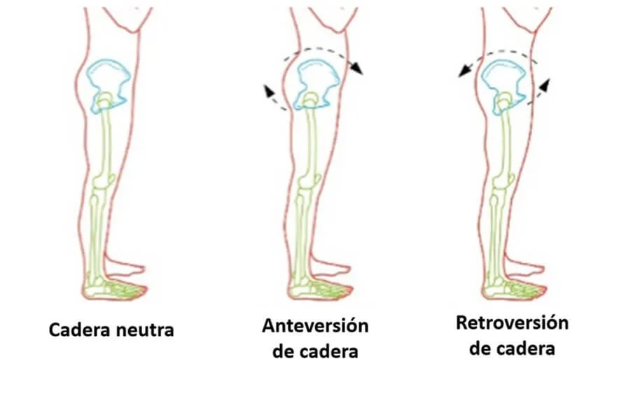 Estiramiento de movimiento pelvico